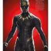 Black_Panther_-_The_Official_Movie_Special_286929.jpg